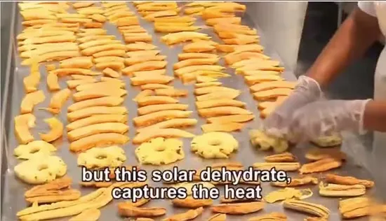 Made in China High Efficiency Warehouse Fruit Vegetable Solar Dryer Machine Greenhouse