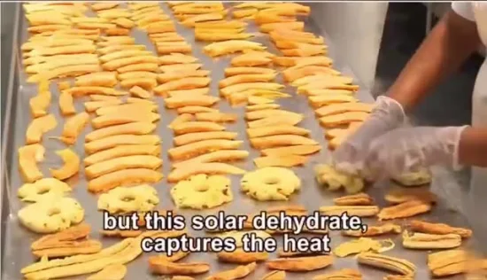 Fabriqué en Chine Entrepôt à haute efficacité Fruits Légumes Séchoir solaire Machine à effet de serre